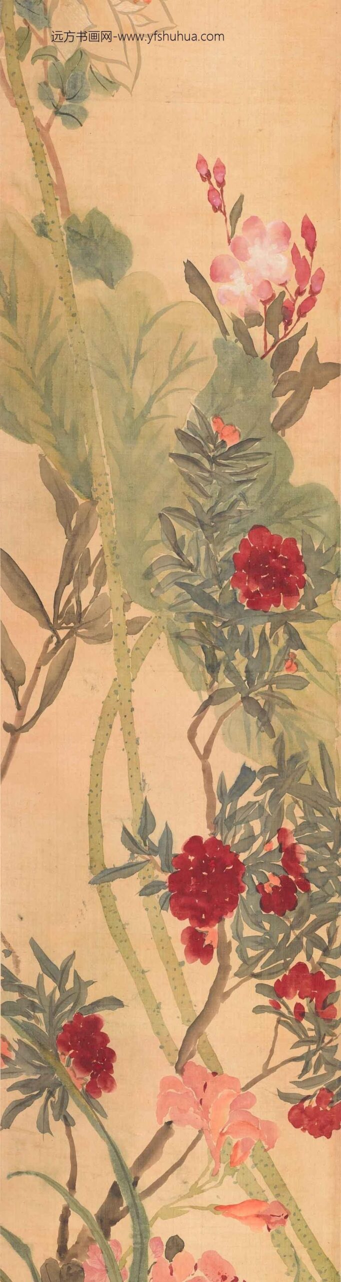 任熊_花卉图卷_