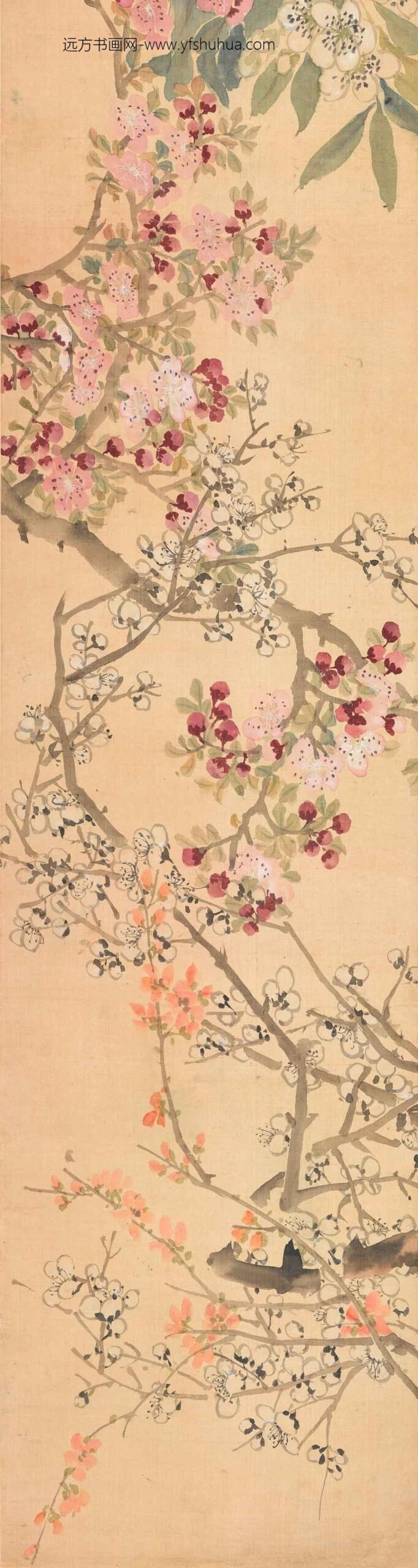 任熊_花卉图卷_