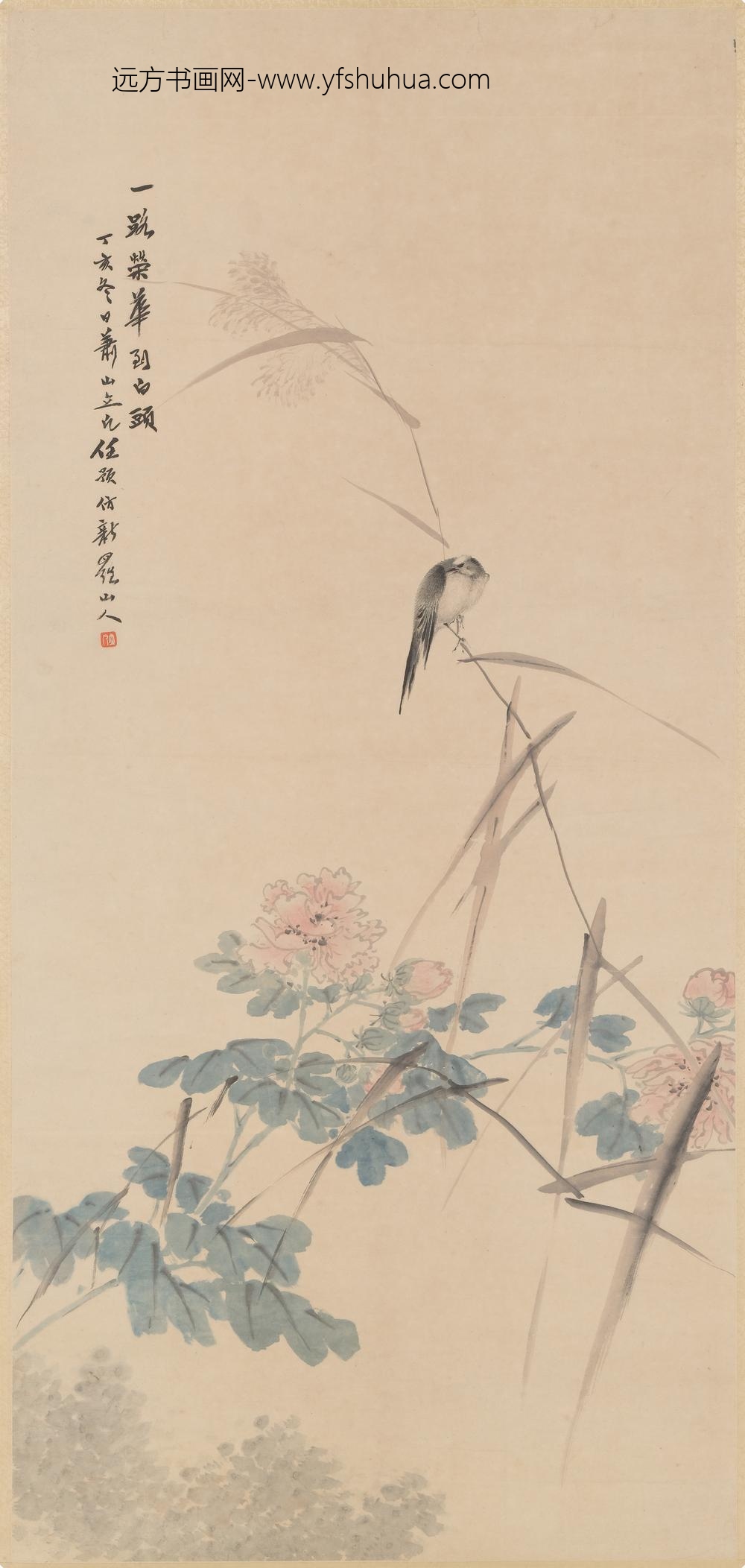 任预_芙蓉白头图轴