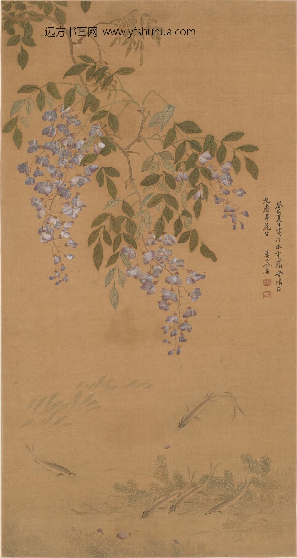 余省（曾三)_紫藤游鱼图轴