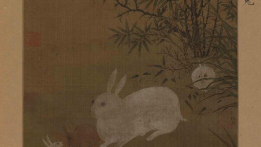 佚名 兔图页.jpg