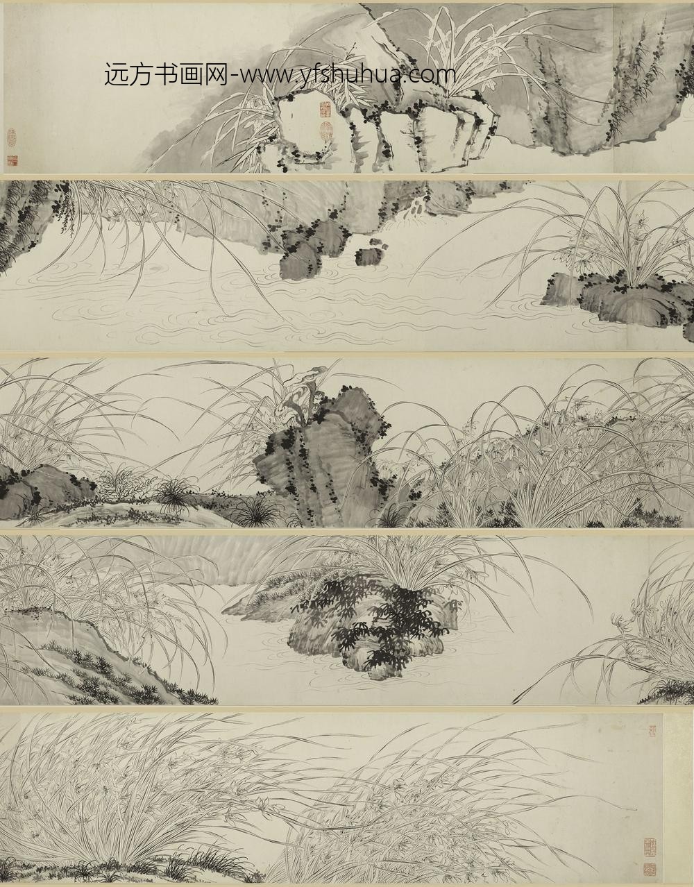 佚名_双钩兰花图卷