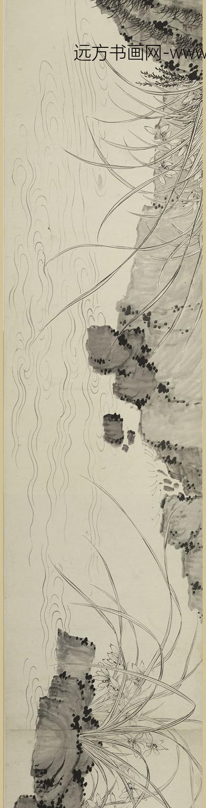 佚名_双钩兰花图卷_