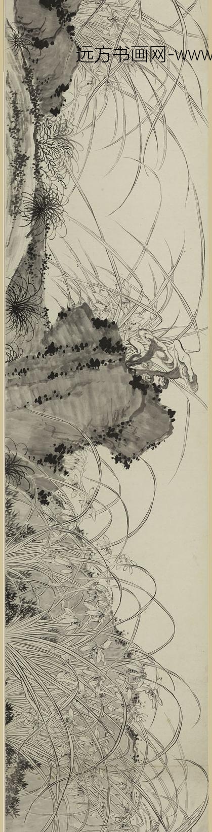 佚名_双钩兰花图卷_