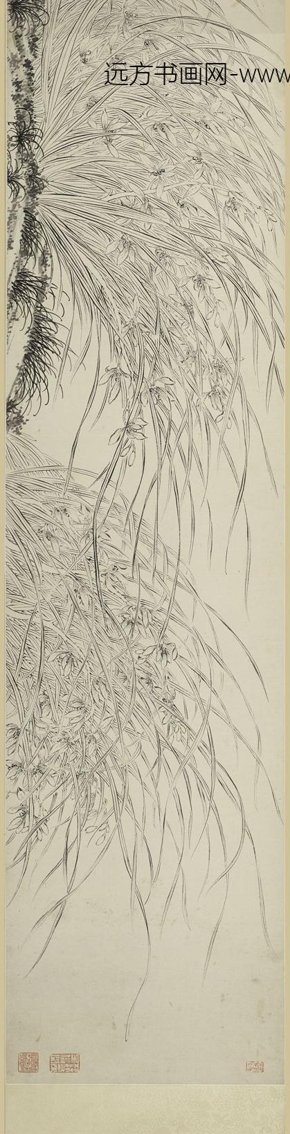 佚名_双钩兰花图卷_