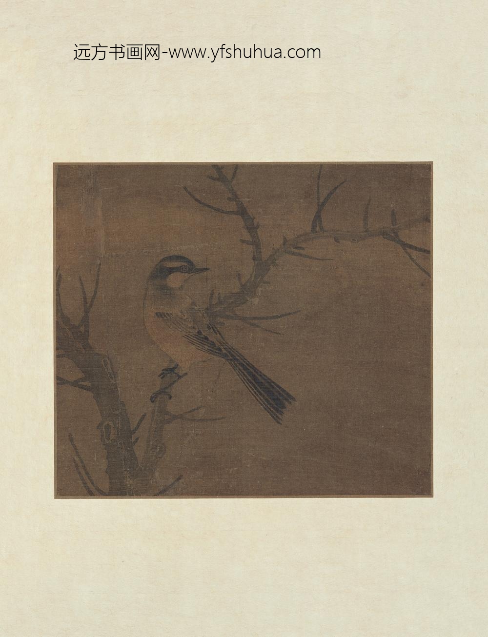 佚名_古木秋禽图散页