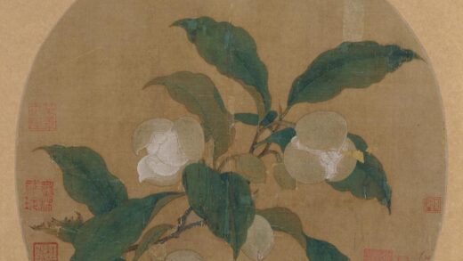 佚名 夜合花图纨扇页.jpg