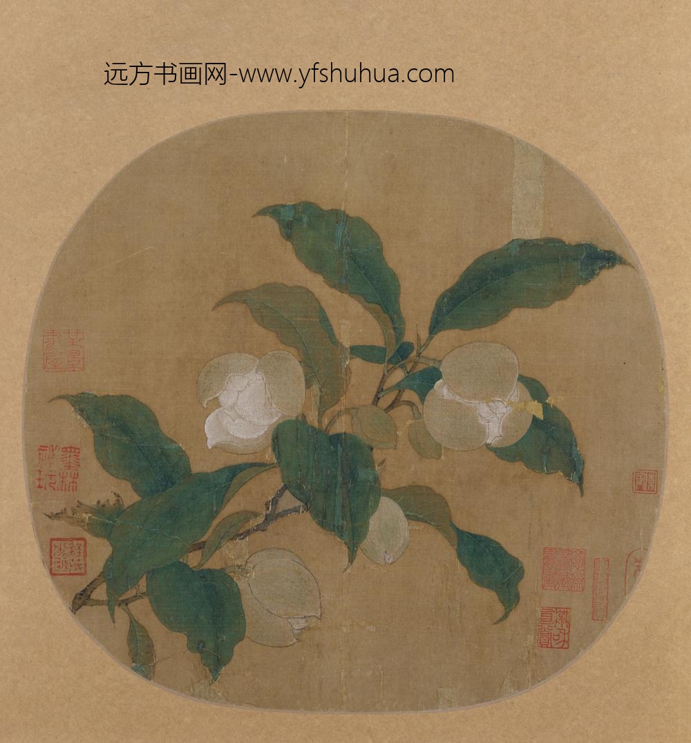 佚名_夜合花图纨扇页