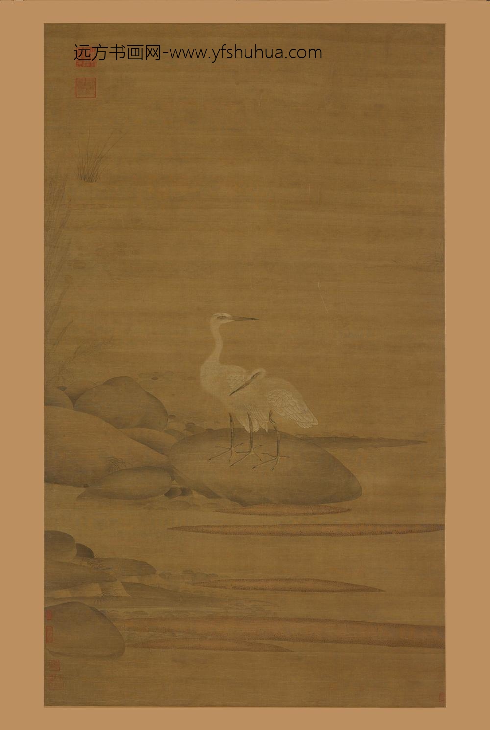 佚名_白鹭图轴