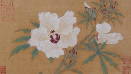 佚名 秋葵图页.jpg