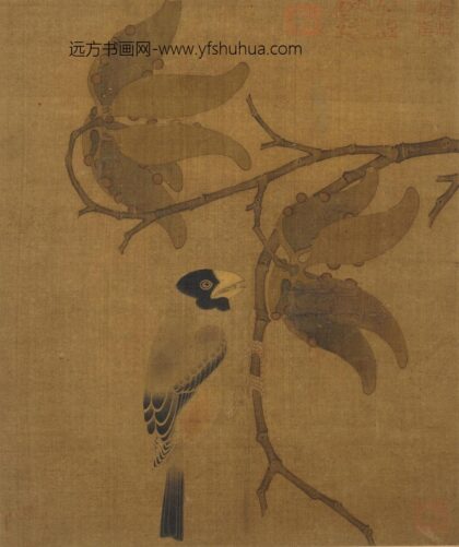 佚名 腊嘴桐子图页.jpg