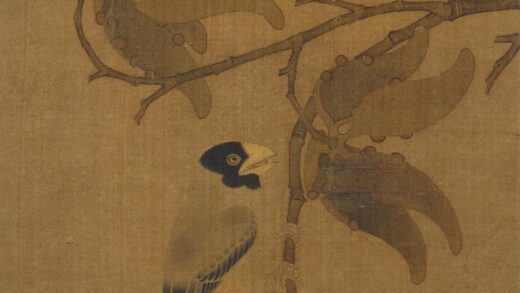 佚名 腊嘴桐子图页.jpg