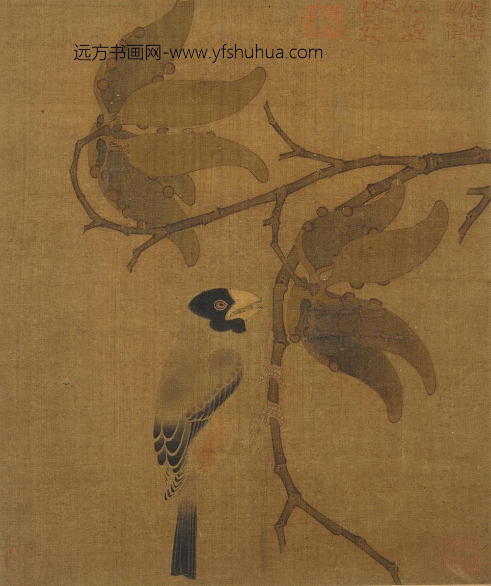 佚名_腊嘴桐子图页