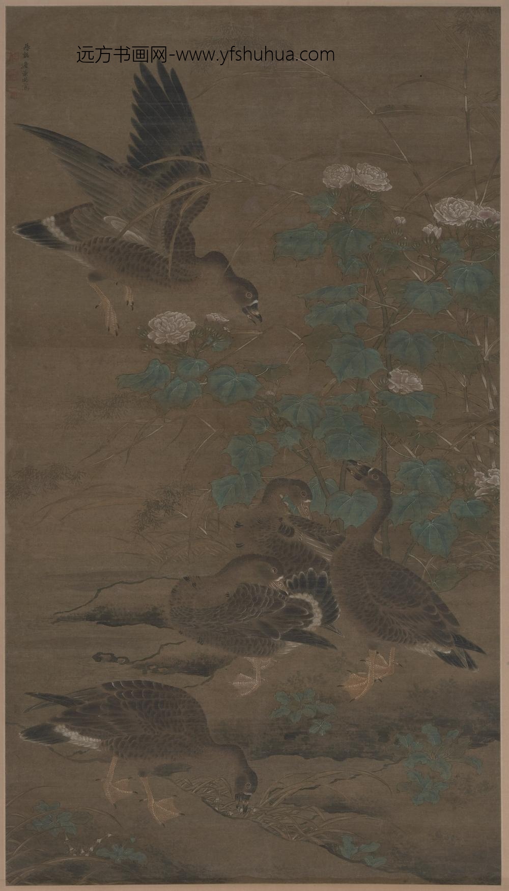 佚名_芙蓉芦雁图轴