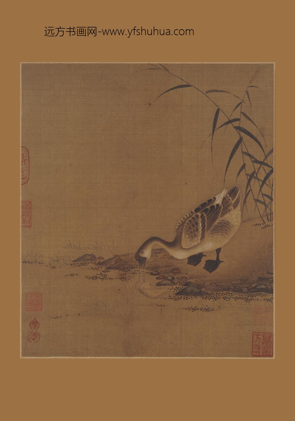 佚名_芦塘鹅饮图页