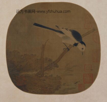 佚名 荷塘鹡鸰图页.jpg