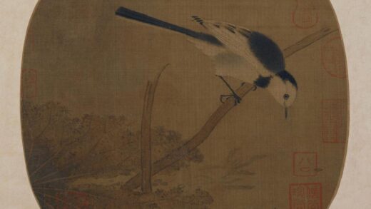 佚名 荷塘鹡鸰图页.jpg