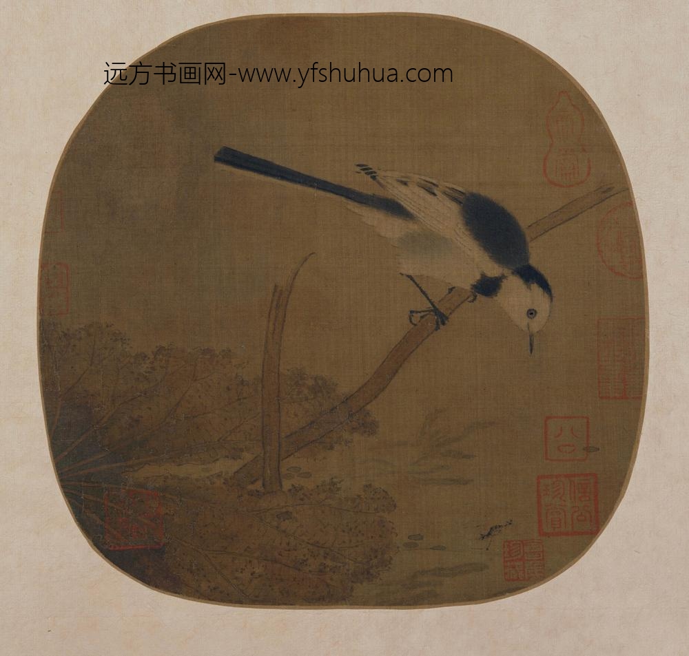 佚名_荷塘鹡鸰图页