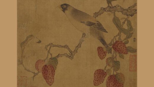 佚名 锦荔栖禽图页.jpg