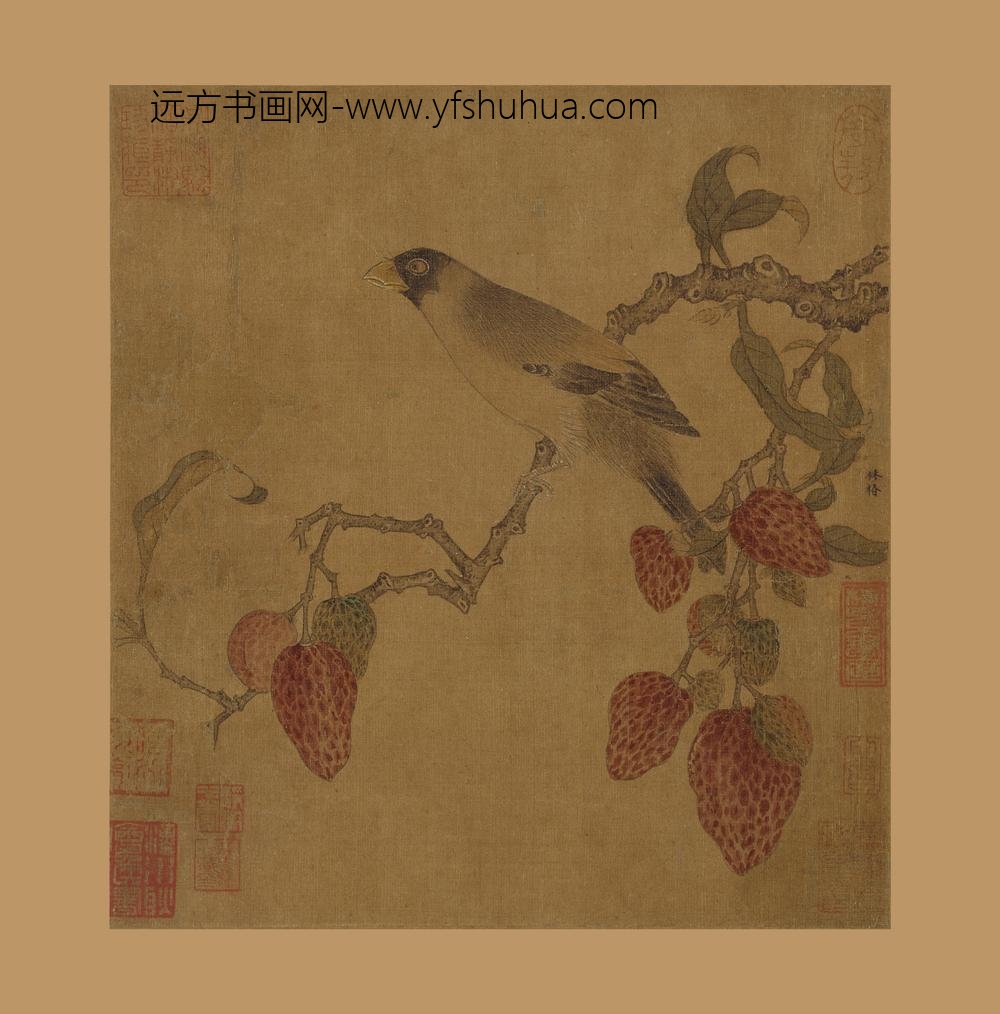 佚名_锦荔栖禽图页