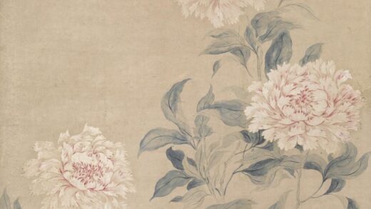 华喦 《芍药图》轴 纸本设色 纵 132cm 横 60.jpg