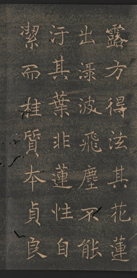 同州三藏聖教序并記_