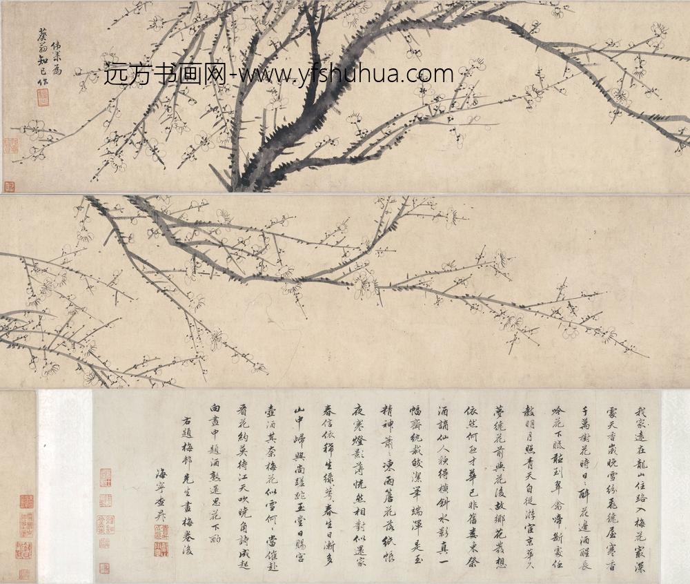 吴伟业_墨梅图卷