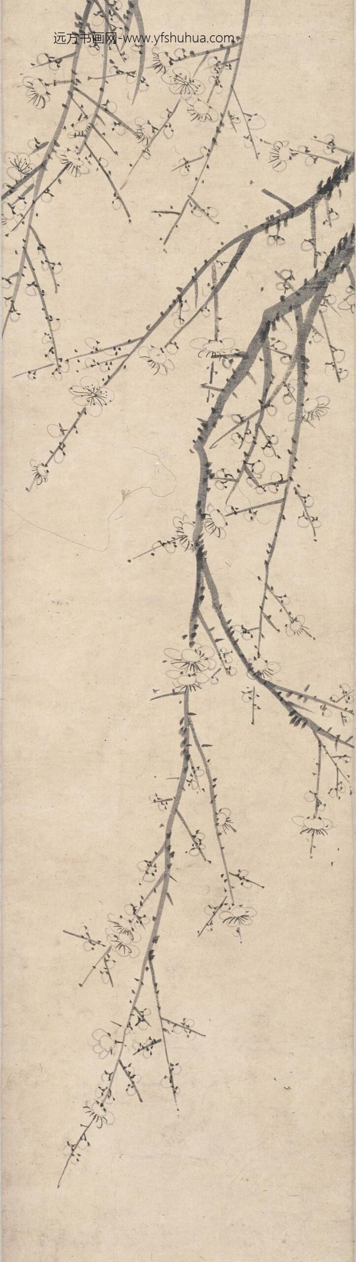 吴伟业_墨梅图卷_