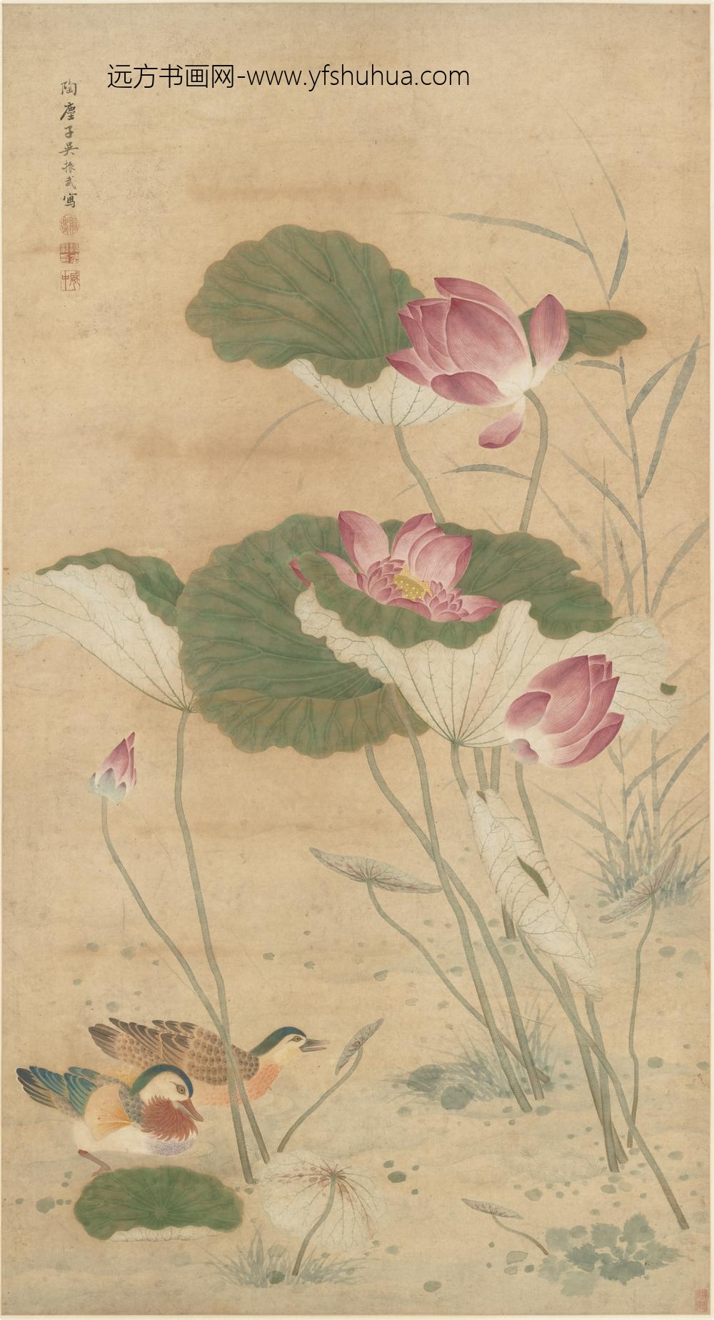 吴振武_荷花鸳鸯图轴