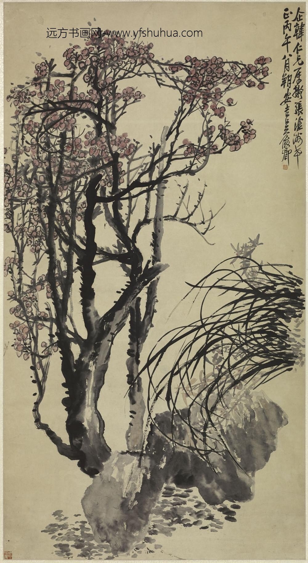 吴昌硕_墨兰图轴