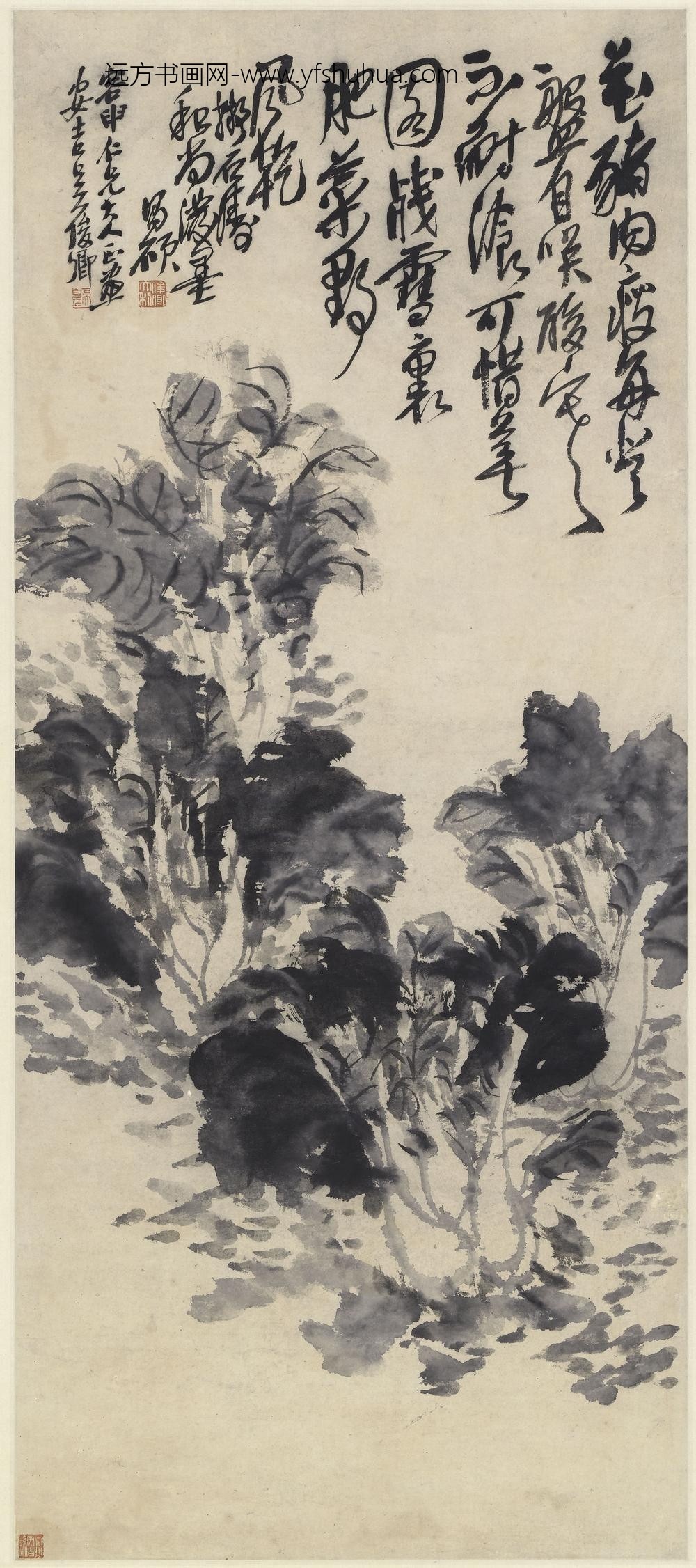 吴昌硕_白菜图轴