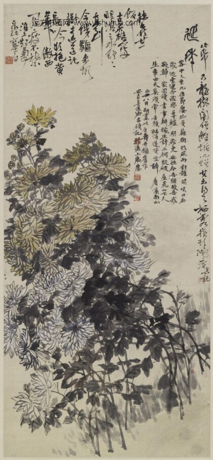 吴昌硕 菊花图轴 1.jpg