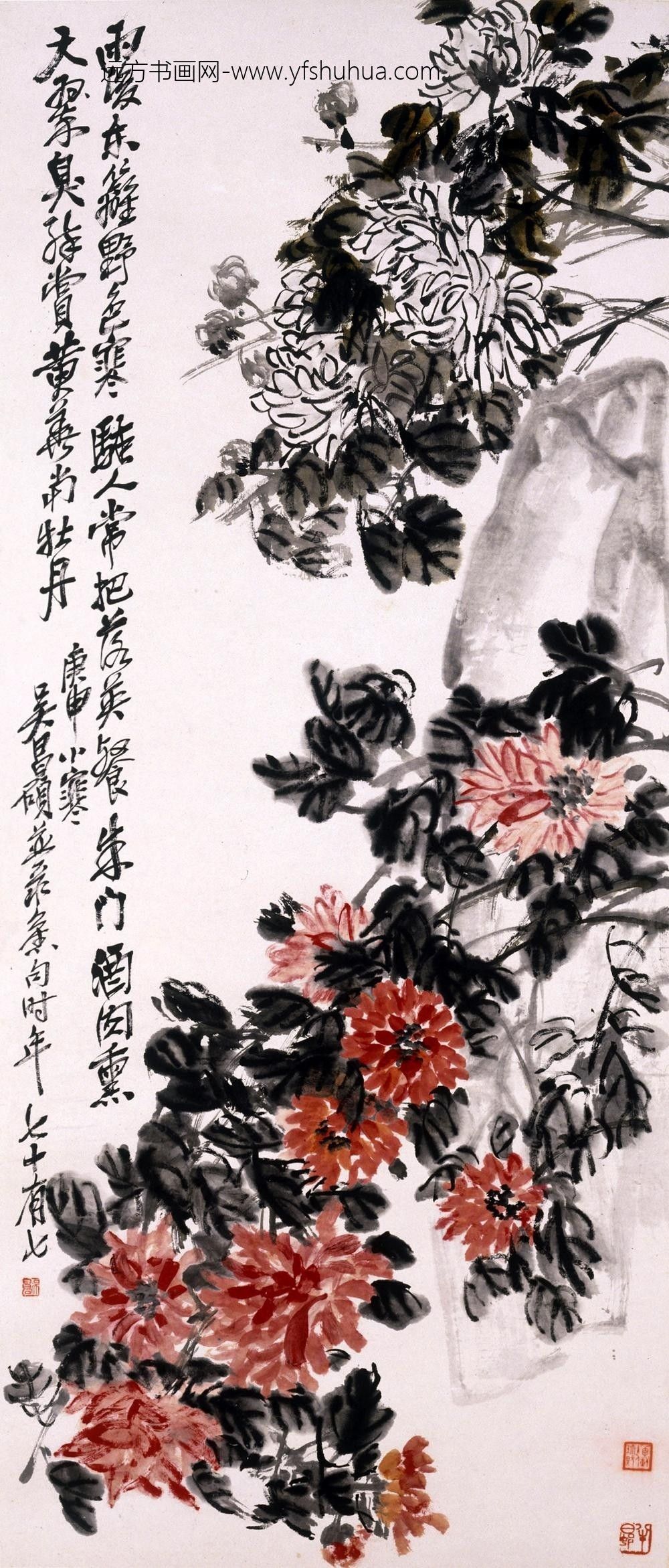 吴昌硕（吴俊卿）_设色菊花轴