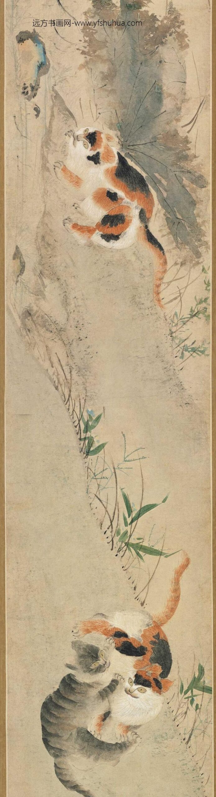 周之冕_秋花三猫图卷_