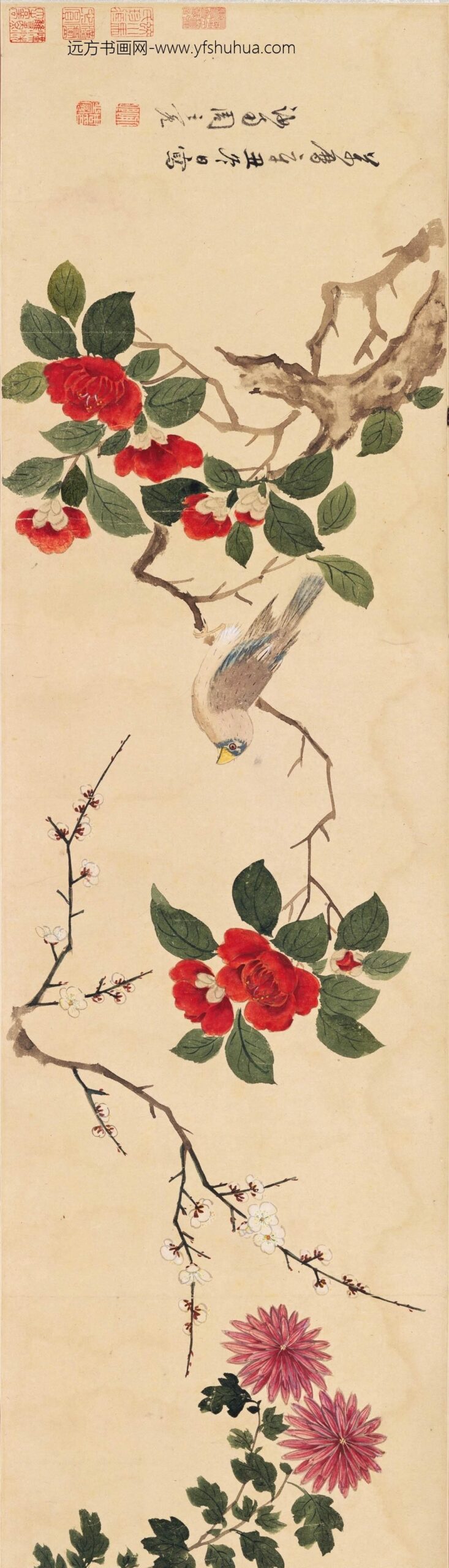 周之冕_设色花鸟卷_