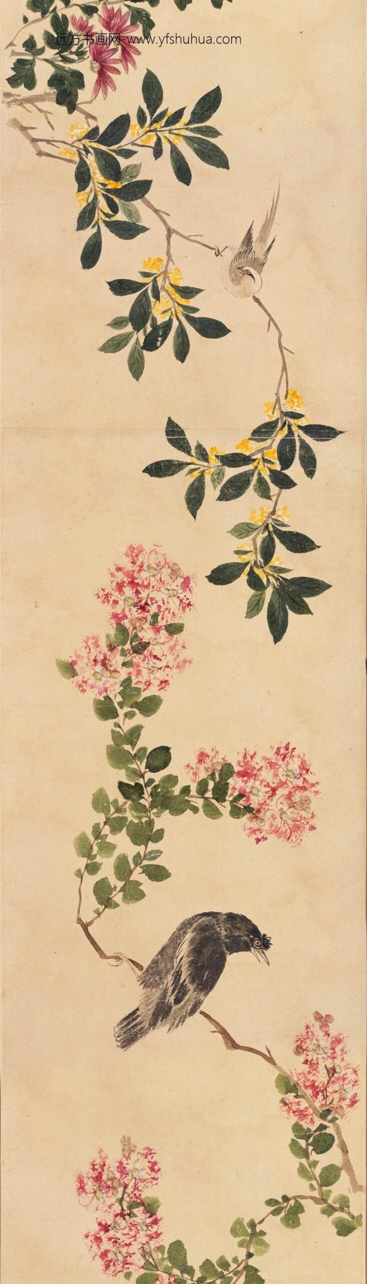 周之冕_设色花鸟卷_