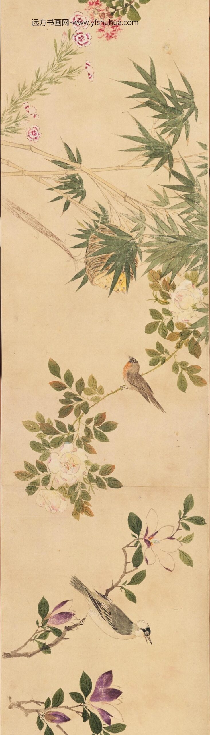 周之冕_设色花鸟卷_