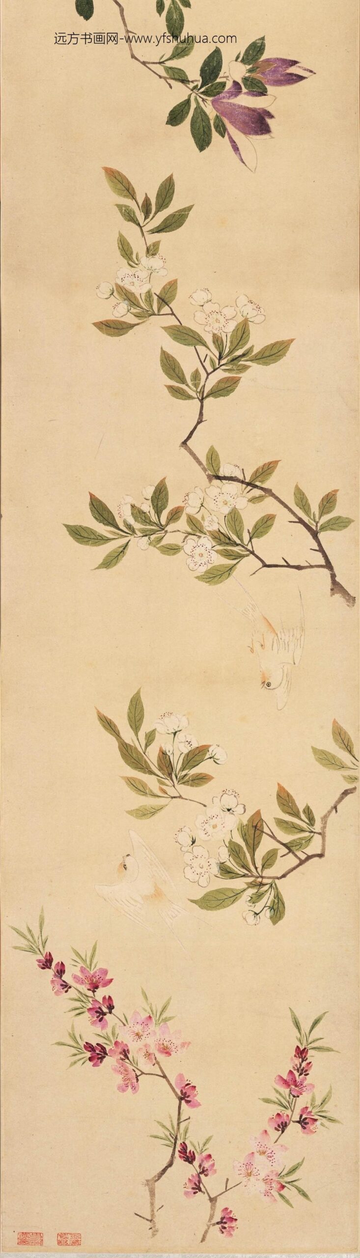 周之冕_设色花鸟卷_