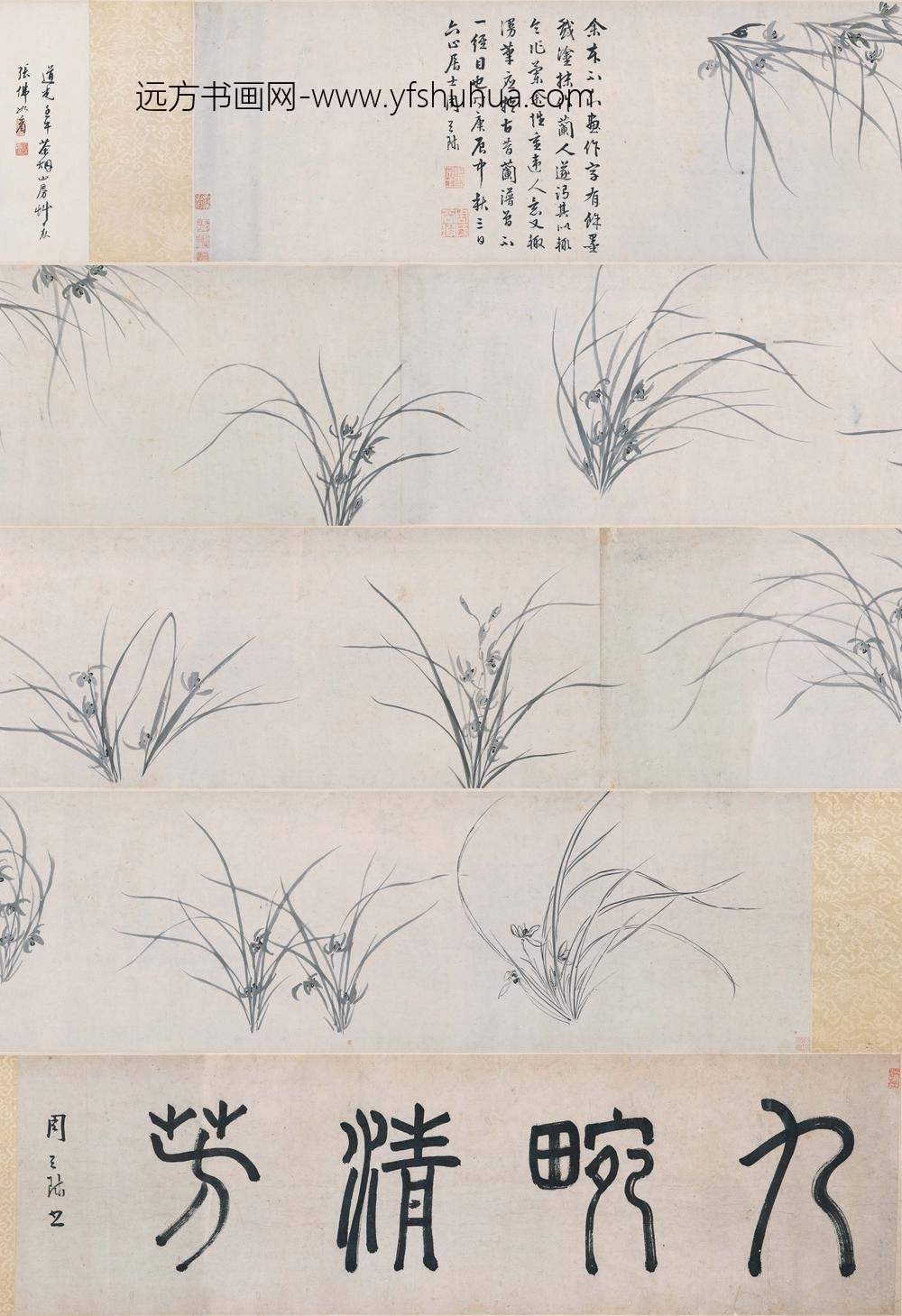 周天球_墨兰图卷