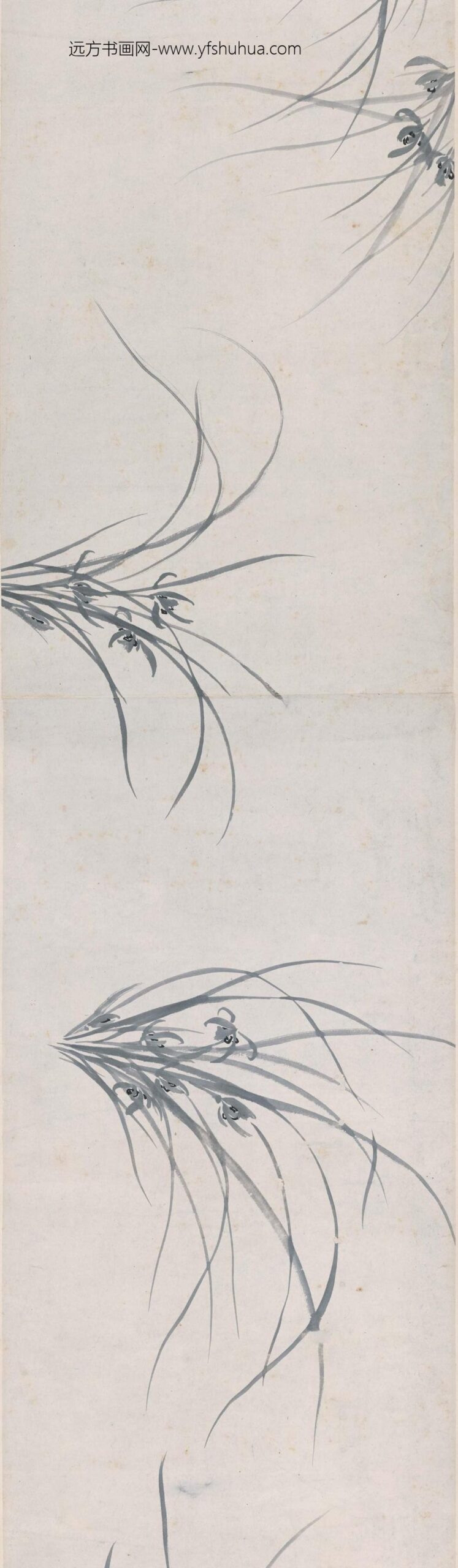 周天球_墨兰图卷_