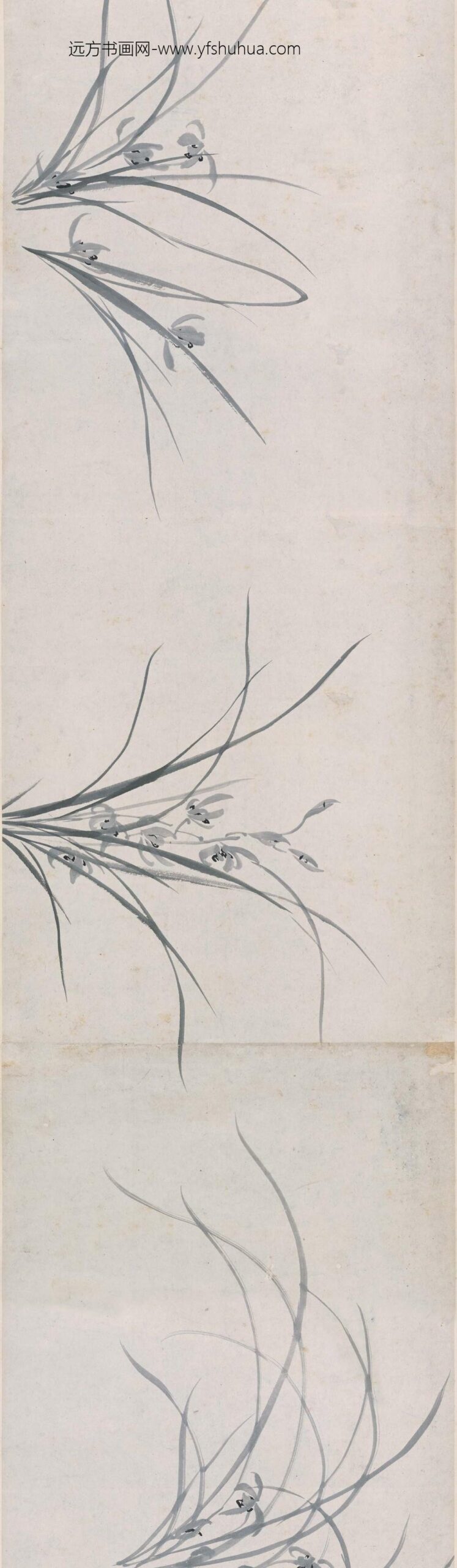 周天球_墨兰图卷_