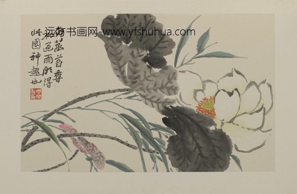 周闲_设色花果册