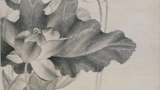 唐炗（苂） 荷花游鱼图轴.jpg