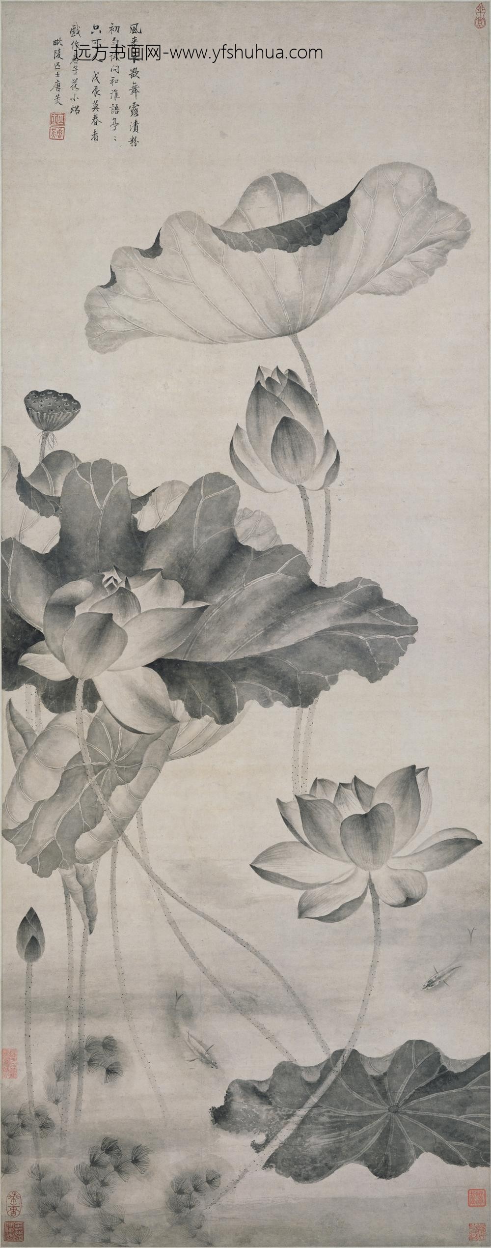 唐炗（苂）_荷花游鱼图轴