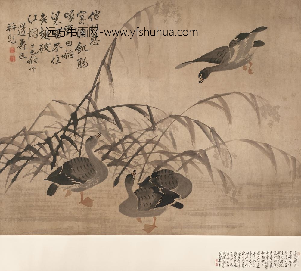 图片-边寿民-《芦雁图》轴-纸本设色-纵-cm-横-cm-