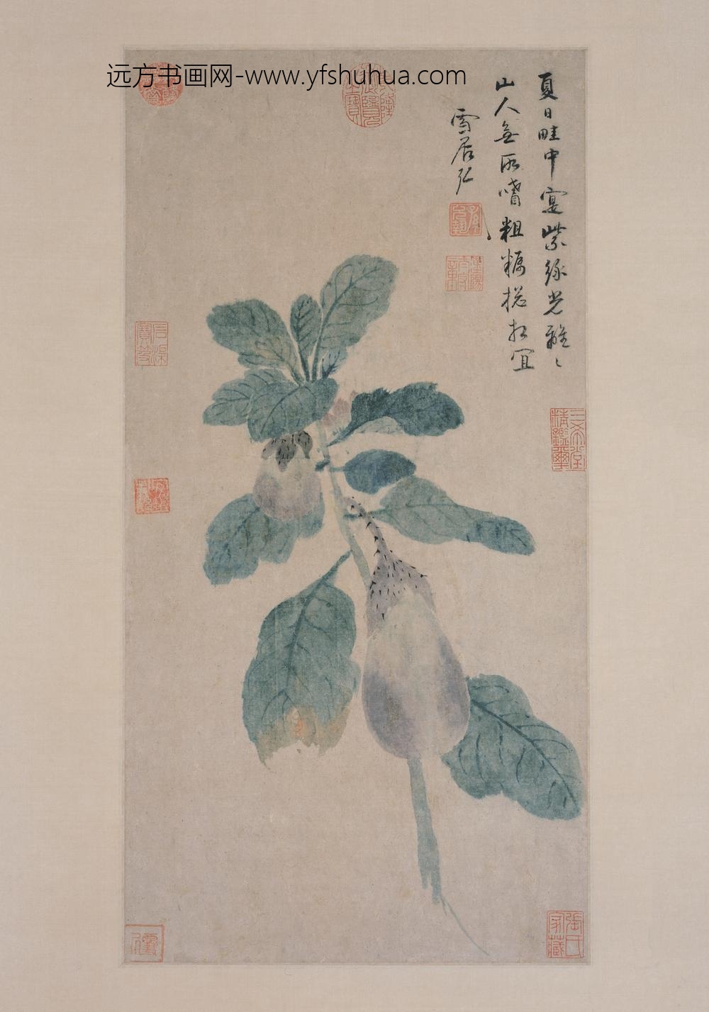 孙克弘_紫茄图轴