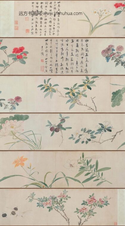 孙克弘 花卉图卷.jpg