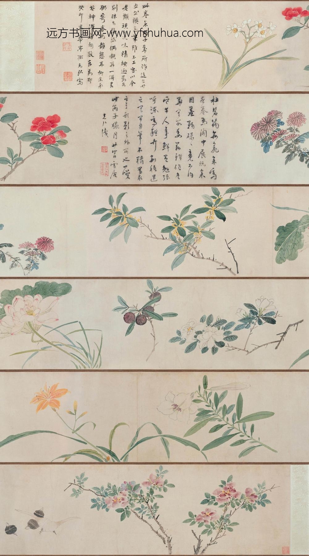 孙克弘_花卉图卷