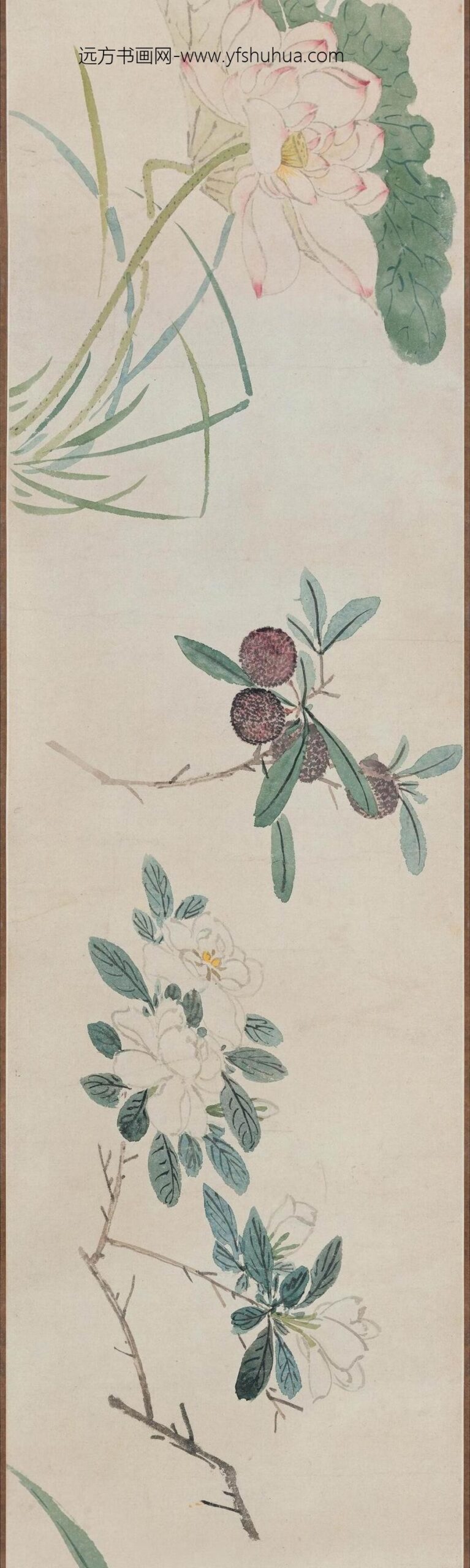 孙克弘_花卉图卷_