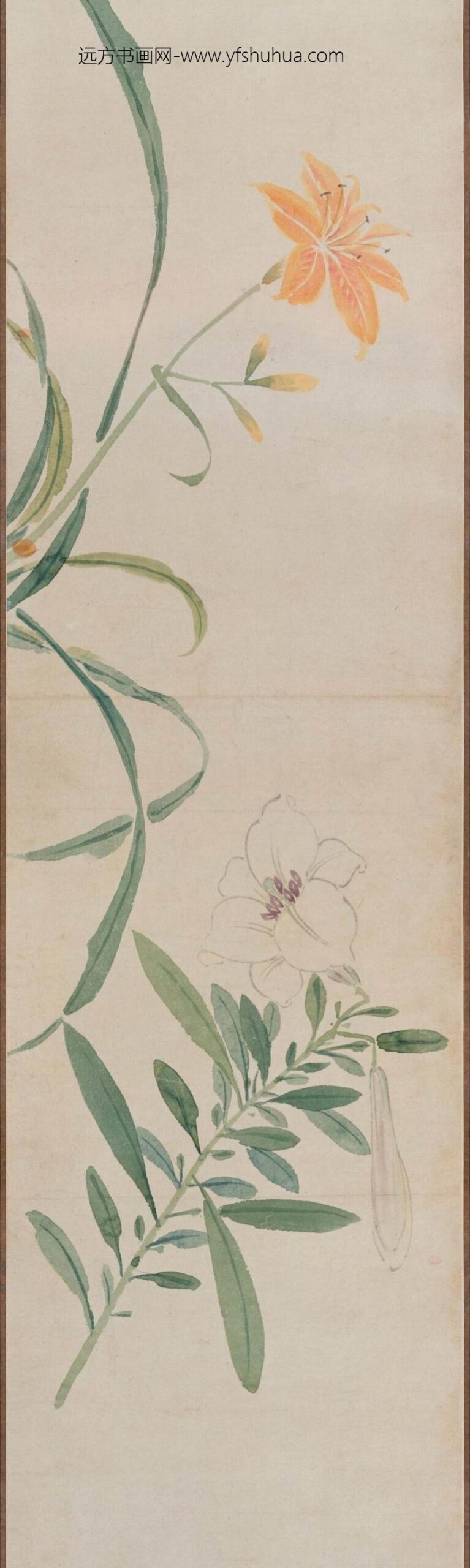 孙克弘_花卉图卷_